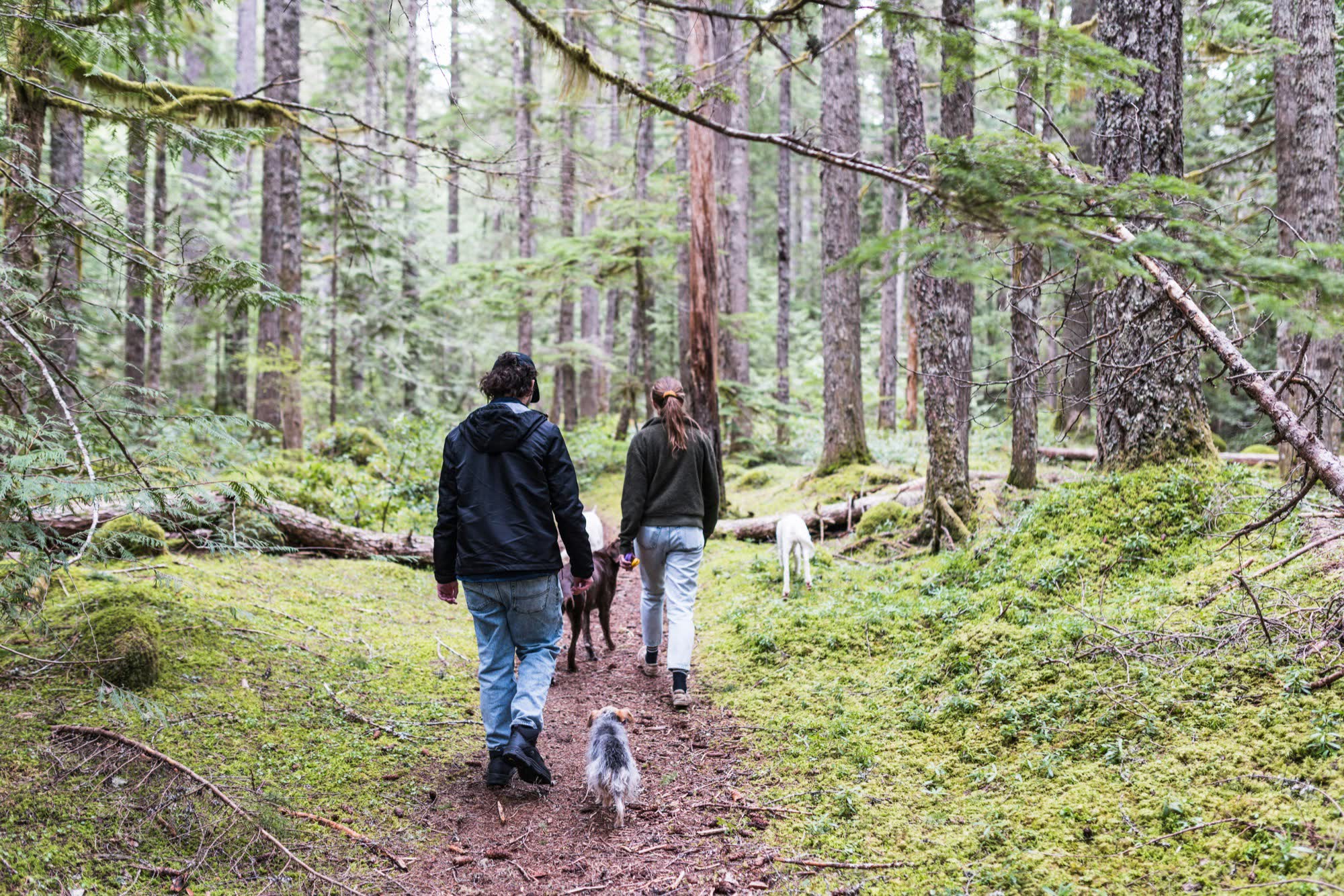 Guided Meditation: Ground Yourself Using the Earth Element